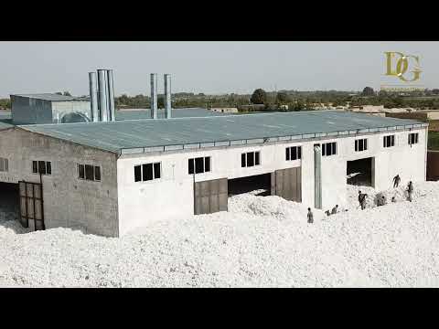 Cotton processing